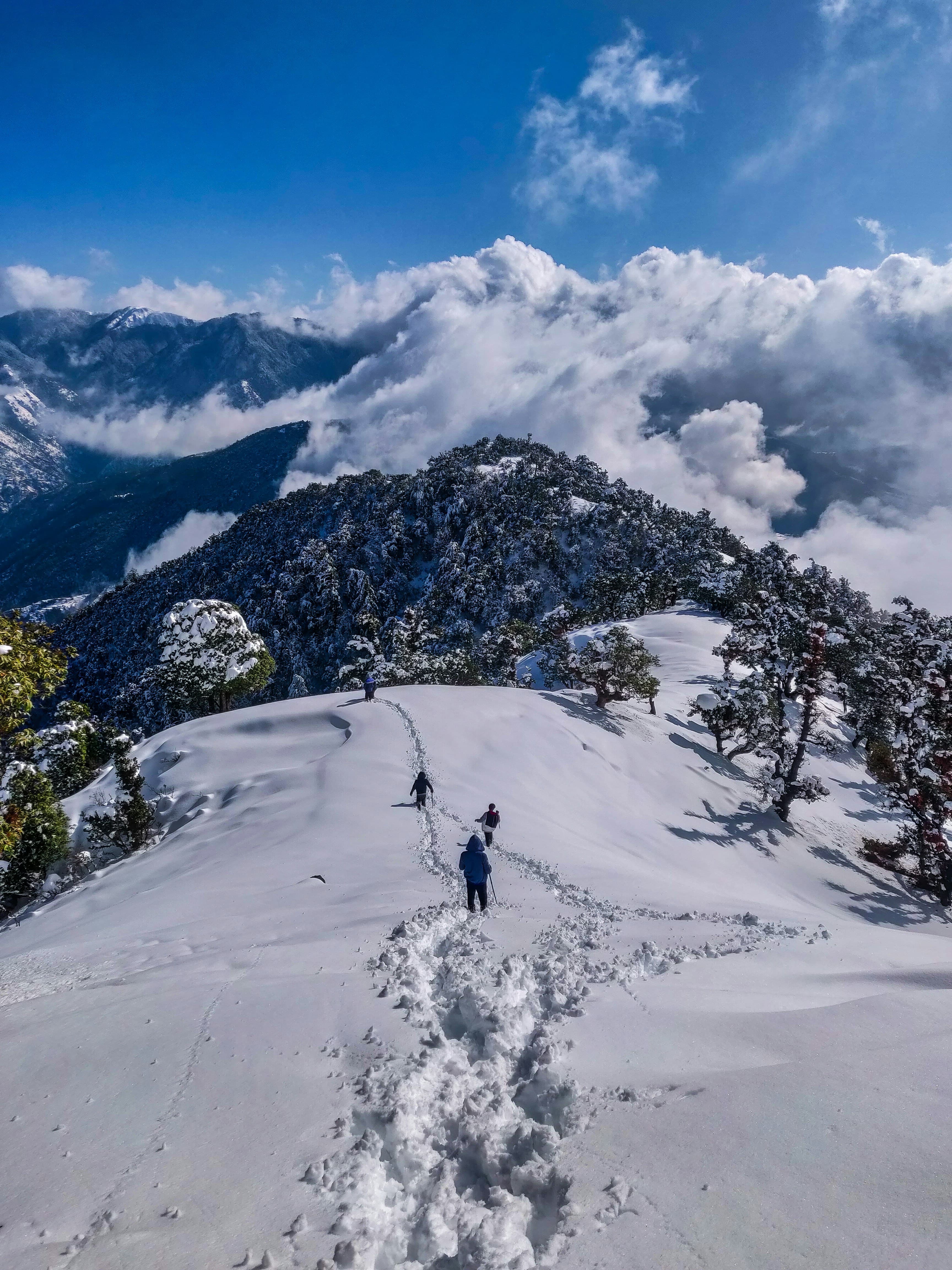 Mcleodganj-Triund